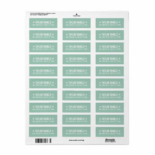 Rustic Mint Return Address Labels (Full Sheet)