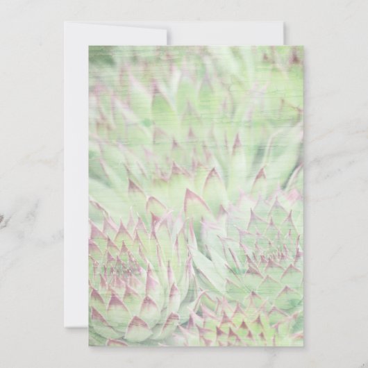 Rustic Modern Succulents Wedding Invitations Kaart (Achterkant)