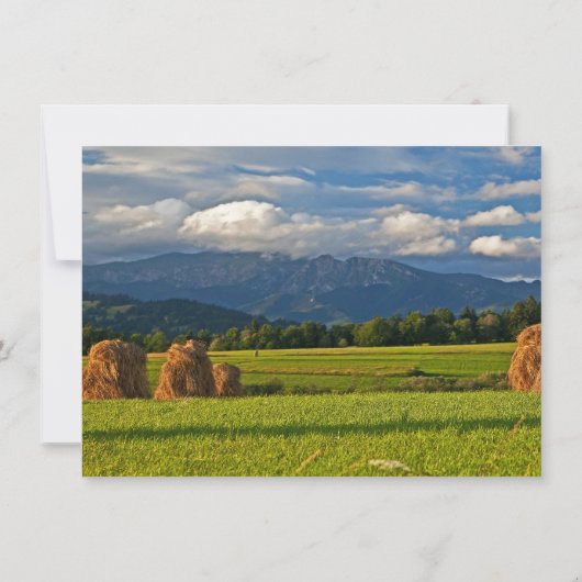 Rustic Mountain Field Wedding Invitations Kaart (Achterkant)