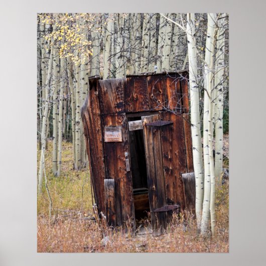 Rustic Outhouse in de Aspen St Elmo Colorado Poster (Voorkant)
