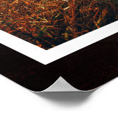 Rustic Paw Drukt Aangepaste foto van voetstuk Poster (Hoek)