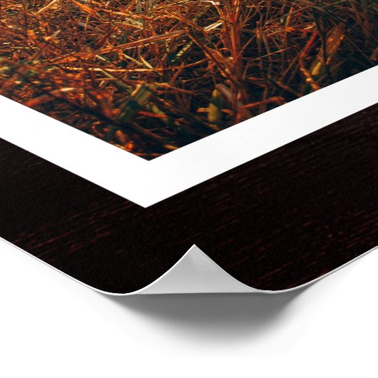 Rustic Paw Drukt Aangepaste foto van voetstuk Poster (Hoek)