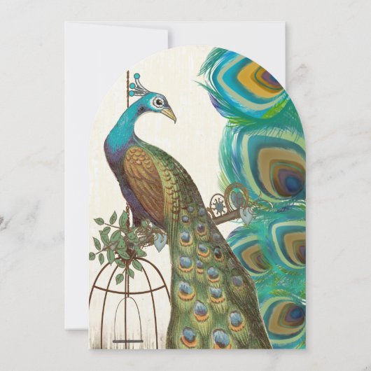 Rustic Peacock Birdcage Feather Wedding Invites Kaart (Achterkant)