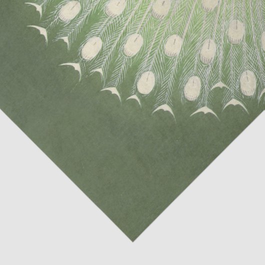  Rustic Peacock Peacocks - Ontwerpen Tissuepapier (Detail)