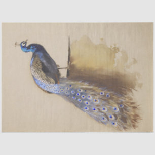  Rustic Peacock Peacocks - Ontwerpen Tissuepapier