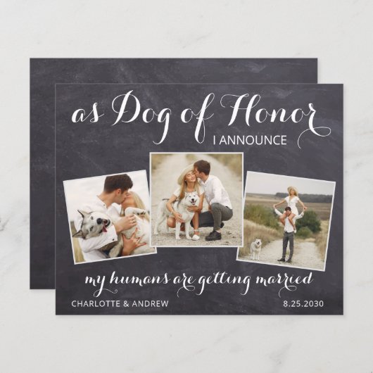 Rustic Pet Dog Photo Budget Weddenschap Save the D (Voorkant / Achterkant)