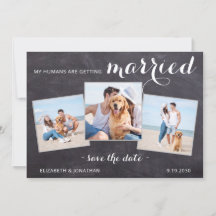 Rustic Pet Dog Wedding Persoonlijk 3 Foto