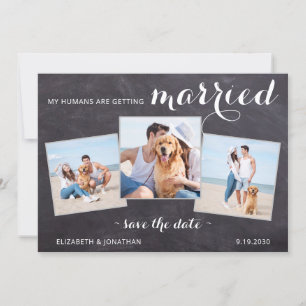 Rustic Pet Dog Wedding Persoonlijk 3 Foto Save The Date