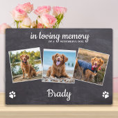 Rustic Pet Memorial 3 Foto in Loving Memory Fotoplaat
