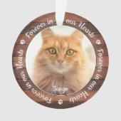 Rustic Pet Memorial Paw Prints Cat Dog 2 Foto Ornament (voorkant)