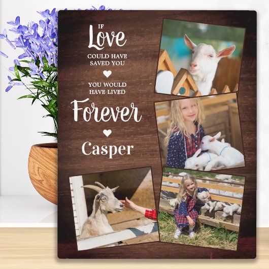 Rustic Pet Memorial Pet Loss Gift Sympathie 4 Fotoplaat