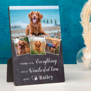 Rustic Pet Memorial van Dog 4 Fotoplaat