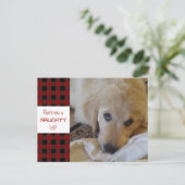 Rustic Pet NAUGHTY LIST Red Buffalo Pset Funny Feestdagenkaart (Staand voorkant)