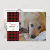 Rustic Pet NAUGHTY LIST Red Buffalo Pset Funny Feestdagenkaart (Voorkant / Achterkant)