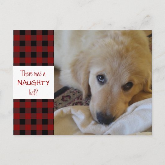Rustic Pet NAUGHTY LIST Red Buffalo Pset Funny Feestdagenkaart (Voorkant)