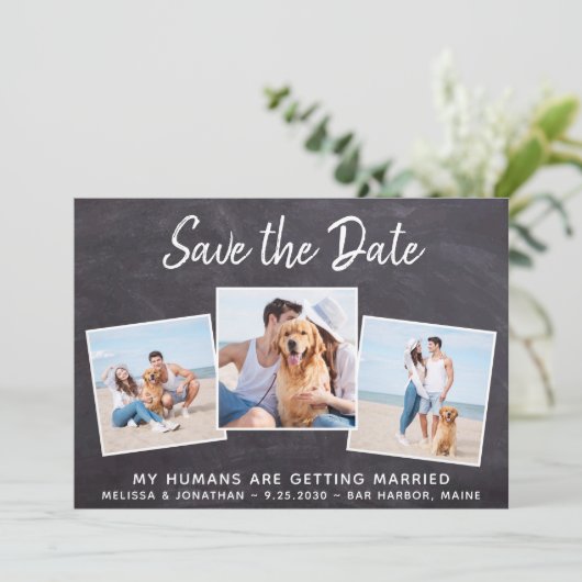 Rustic Photo Collage Pet Wedding Dog Save The Date (Staand voorkant)
