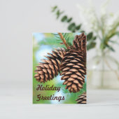 Rustic Pine Cones Briefkaart (Staand voorkant)