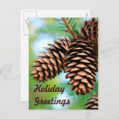Rustic Pine Cones Briefkaart (Voorkant / Achterkant)