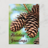 Rustic Pine Cones Briefkaart (Voorkant)
