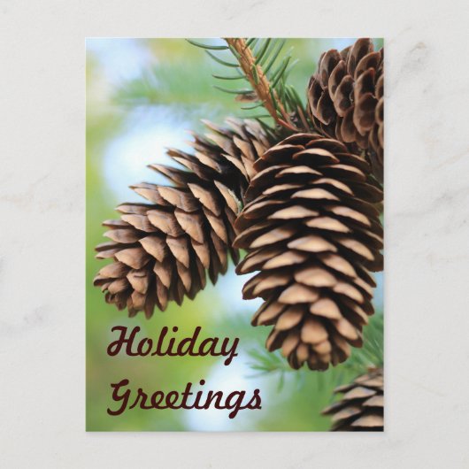 Rustic Pine Cones Briefkaart (Voorkant)
