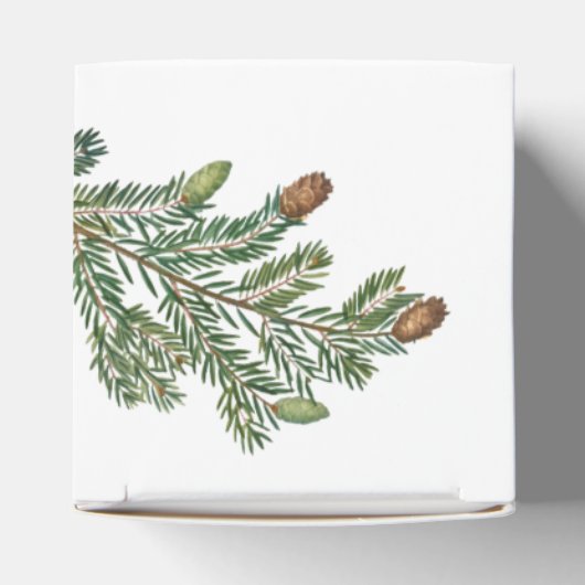 Rustic Pine Trees Forest Greenery Wedding Bedankdoosjes (Bovenkant)