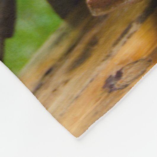 Rustic Pink Daisies en Cowboy Boots Wedding Fleece Deken (Hoek)