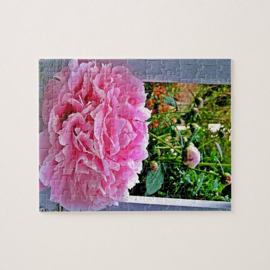 Rustic Pink Peony Garden Pickets Legpuzzel (Horizontaal)