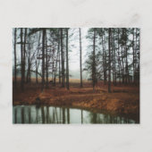 Rustic Pond Briefkaart (Voorkant)