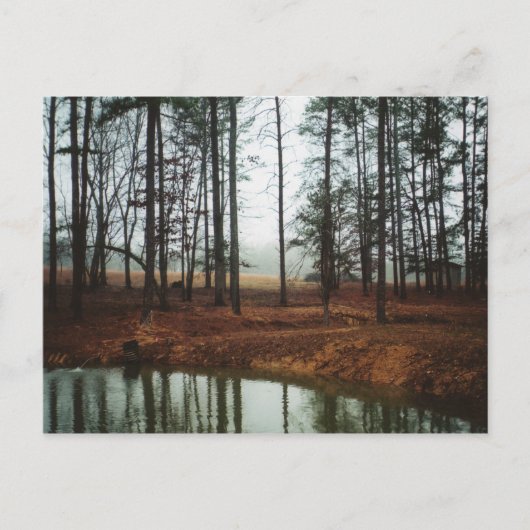 Rustic Pond Briefkaart (Voorkant)