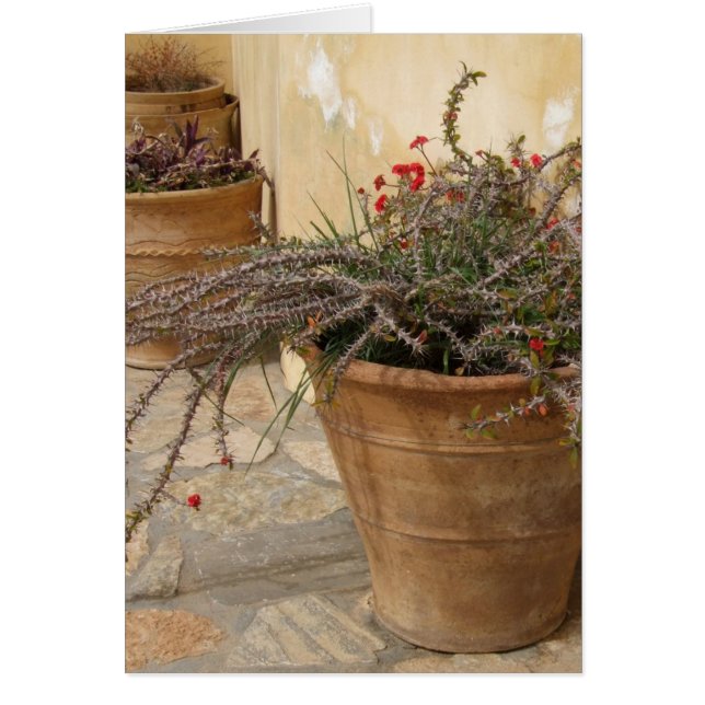 Rustic Pots-kaart (Voorkant)