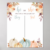 Rustic Pumpkin Gender onthullen Poster stemraad (Voorkant)