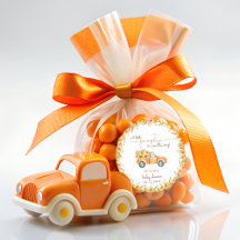 Rustic Pumpkin Herfst Floral Baby shower