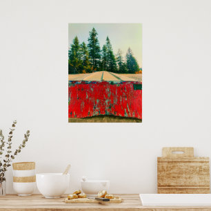 Rustic Red Wood Boat op het strand Poster