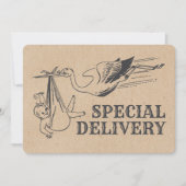 Rustic Retro Style Stork Baby shower Uitnodiging (Voorkant)