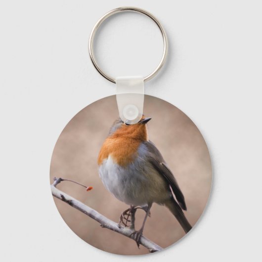 Rustic Robin Keyring Sleutelhanger (Voorkant)