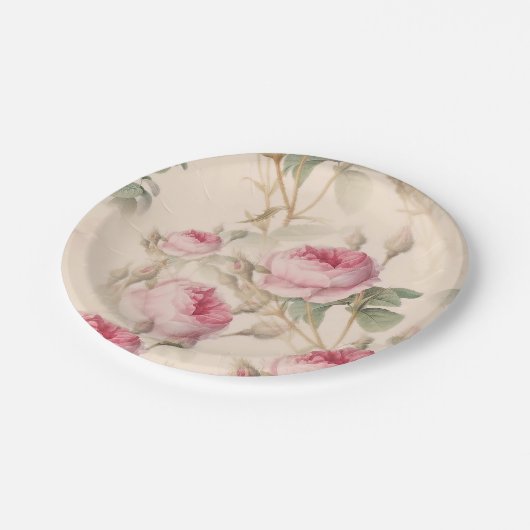Rustic roze rozen papieren bordje (Gekanteld)