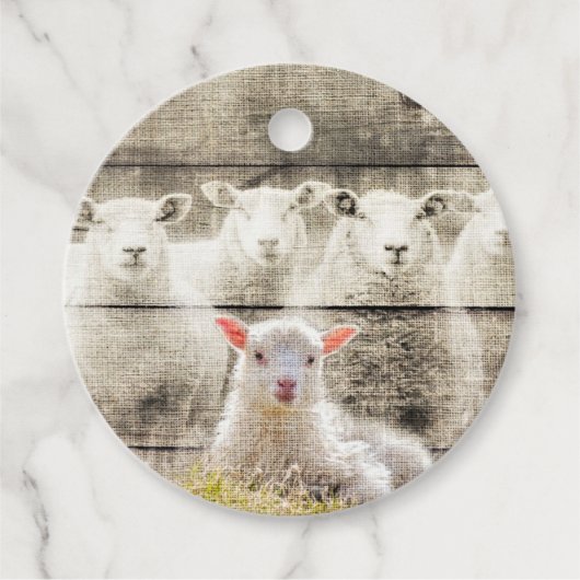 Rustic Sheep Baby Lamb Burlap Bedankjes Labels (Voorkant)