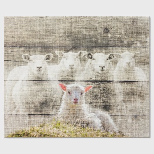 Rustic Sheep Baby Lamb Burlap Cadeaupapier (Vlak)