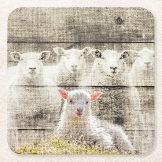 Rustic Sheep Baby Lamb Burlap Kartonnen Onderzetters (Voorkant)