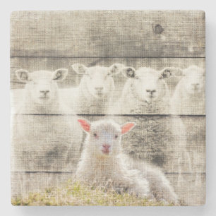 Rustic Sheep Baby Lamb Burlap Stenen Onderzetter