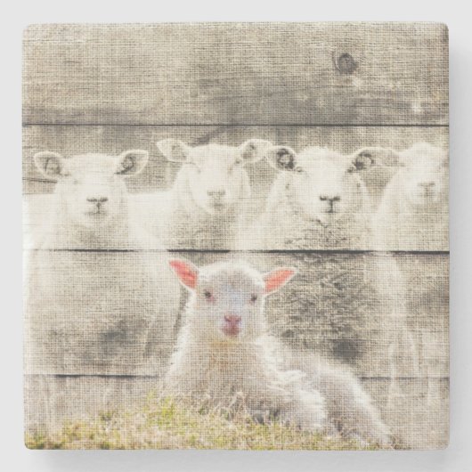 Rustic Sheep Baby Lamb Burlap Stenen Onderzetter (Voorkant)