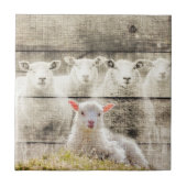 Rustic Sheep Baby Lamb Burlap Tegeltje (Voorkant)