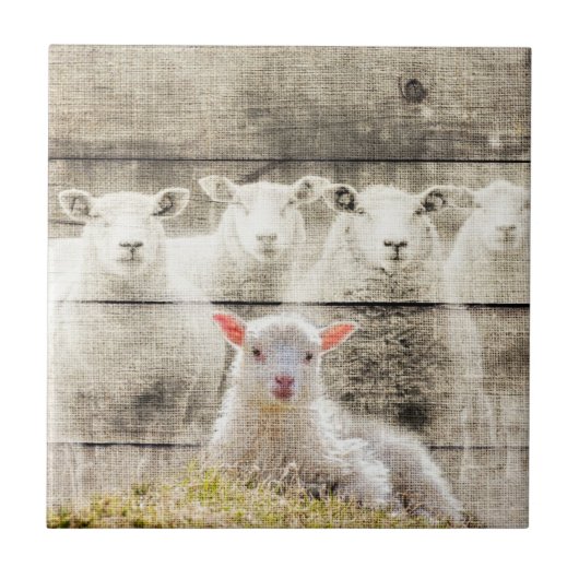Rustic Sheep Baby Lamb Burlap Tegeltje (Voorkant)