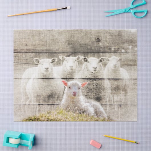 Rustic Sheep Baby Lamb Burlap Tissuepapier (Craft)
