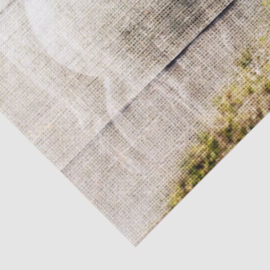 Rustic Sheep Baby Lamb Burlap Tissuepapier (Detail)