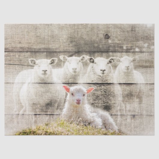 Rustic Sheep Baby Lamb Burlap Tissuepapier (Voorkant)