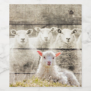 Rustic Sheep Baby Lamb Burlap Wijn Etiket