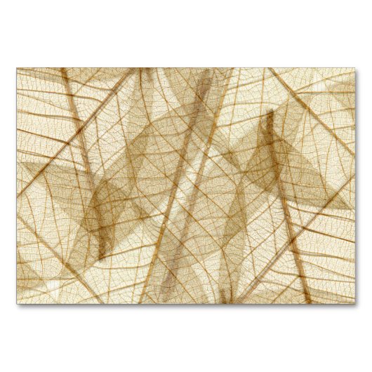 Rustic Sheer Cream Lace Leaves Kaart (Voorkant)