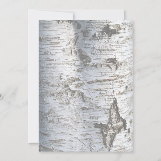 Rustic Silver Birch Tree Baby shower Kaart (Achterkant)
