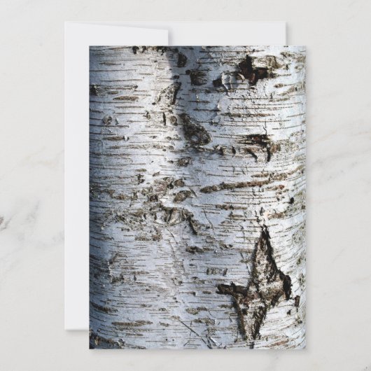 Rustic Silver Birch Tree, Birthday Kaart (Achterkant)